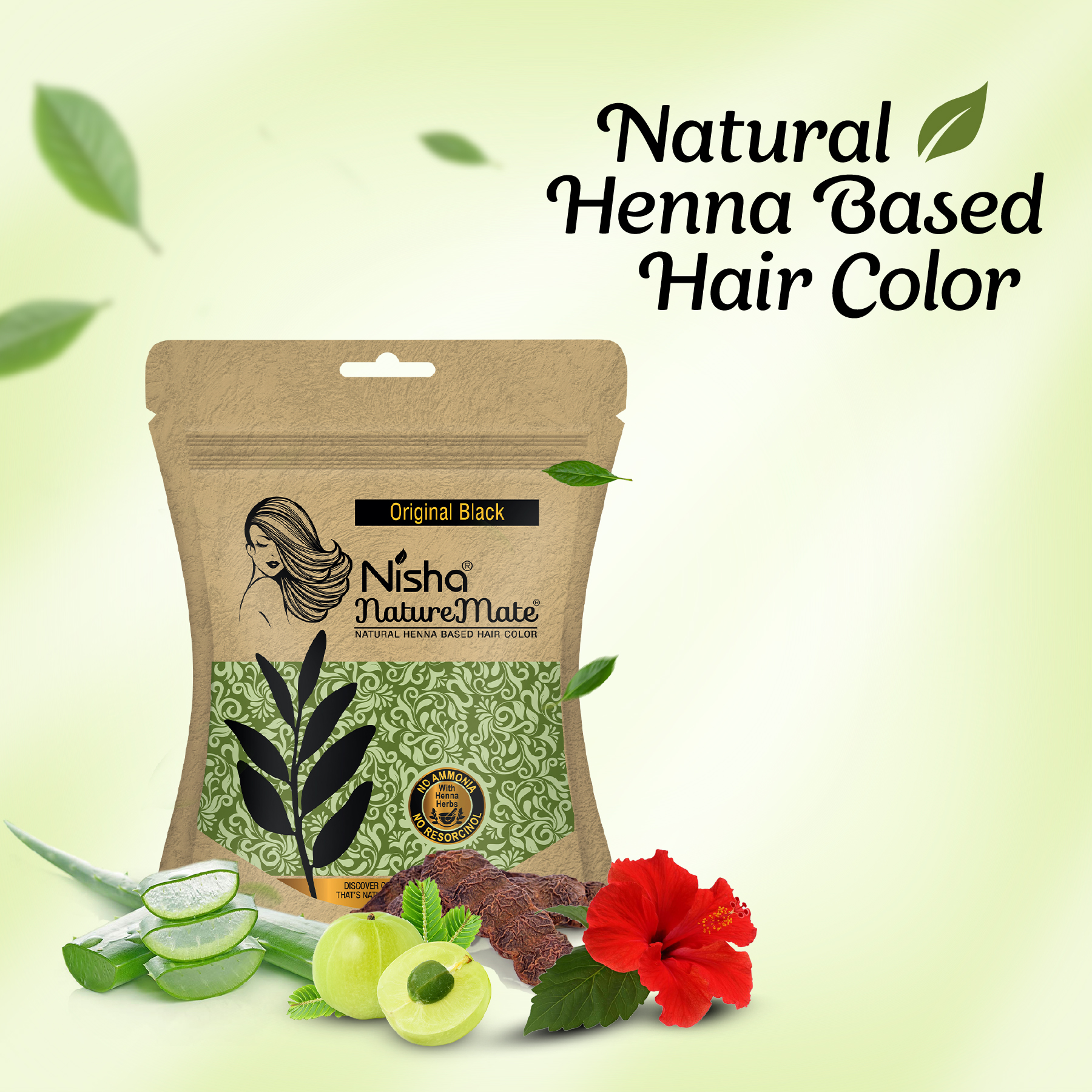 Nisha Naturemate Natural Henna Based Hair Color Original Black