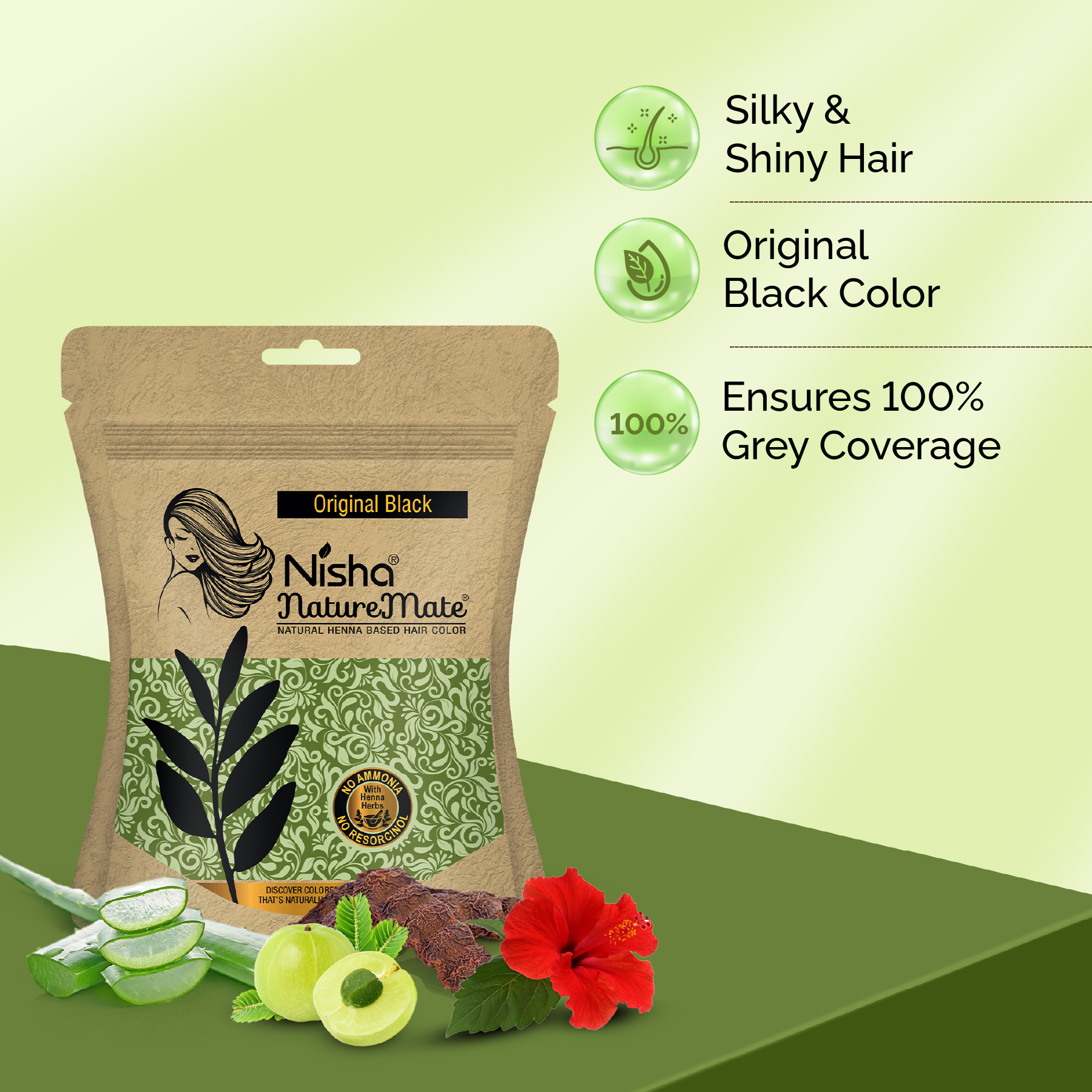Nisha Naturemate Natural Henna Based Hair Color Original Black