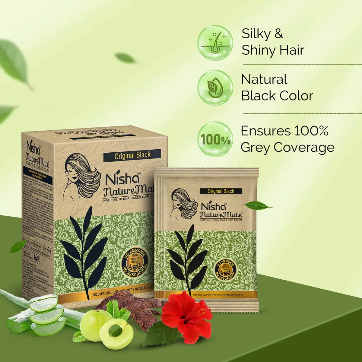 nisha-naturemate-natural-henna-based-hair-color-original-black-box