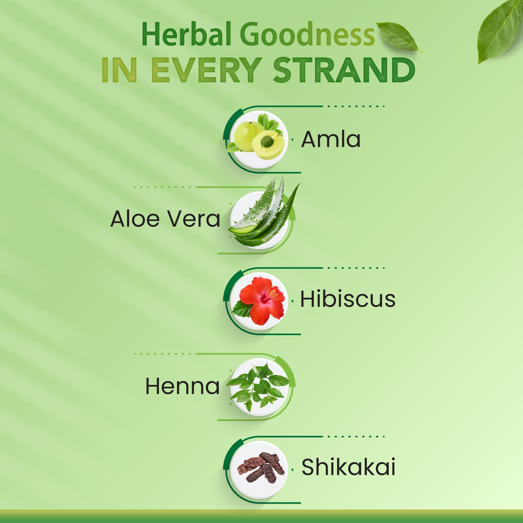 Nisha Quick Color Henna Based Hair Color Natural Black Pouch