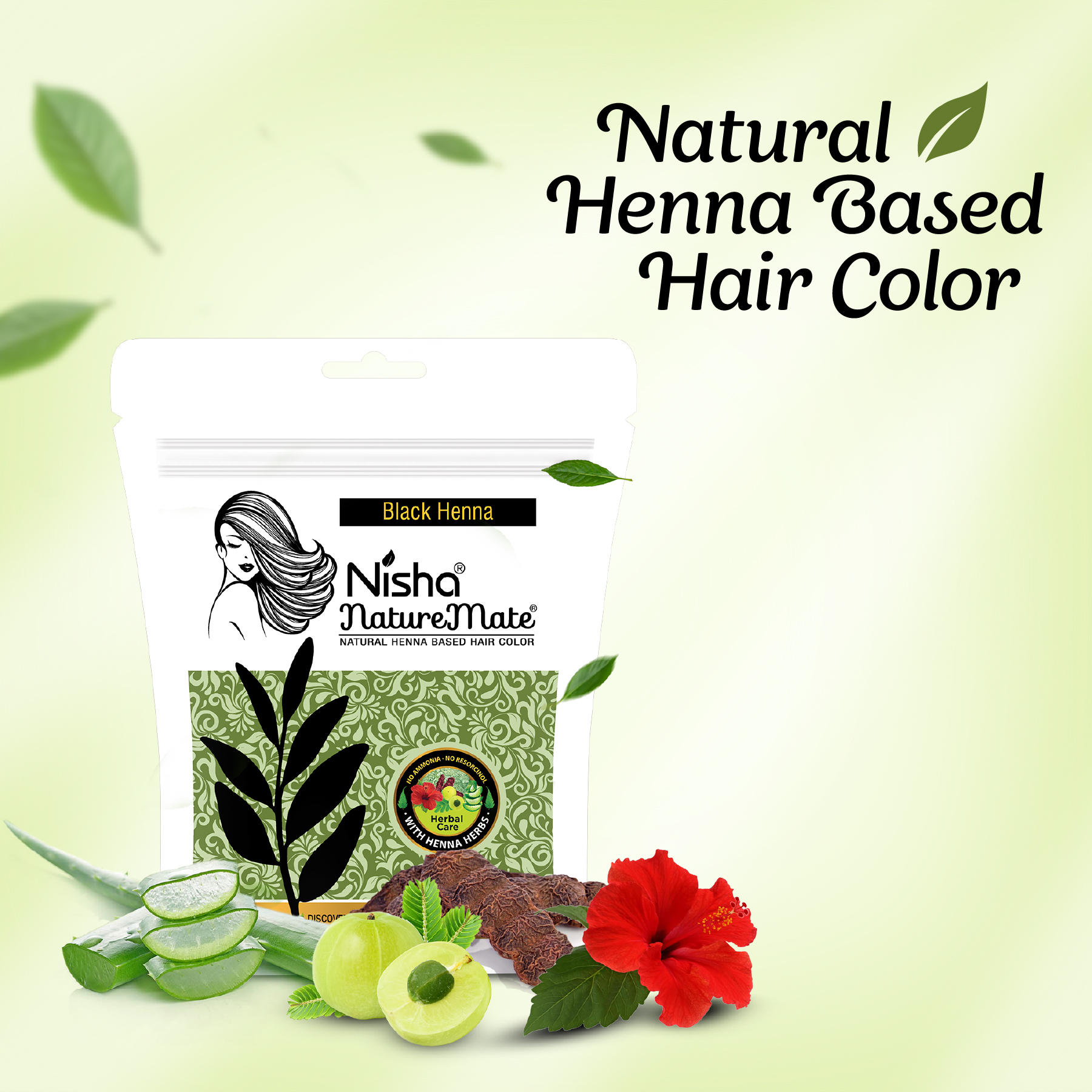 Nisha NatureMate Natural Henna-Based Hair Color Black Henna
