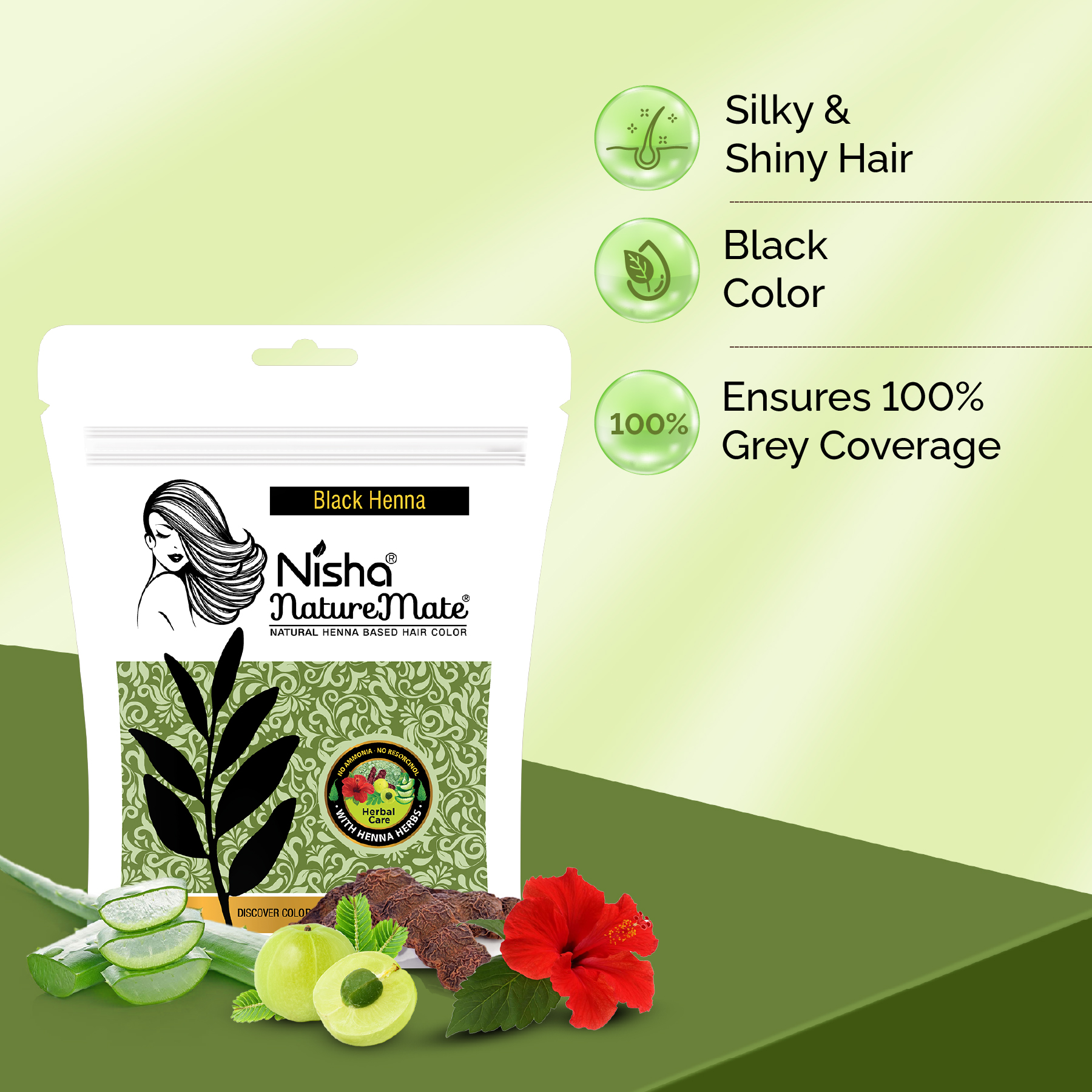 Nisha NatureMate Natural Henna-Based Hair Color Black Henna