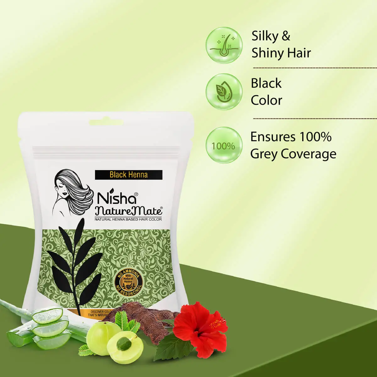 nisha-naturemate-natural-henna-based-hair-color-black-henna