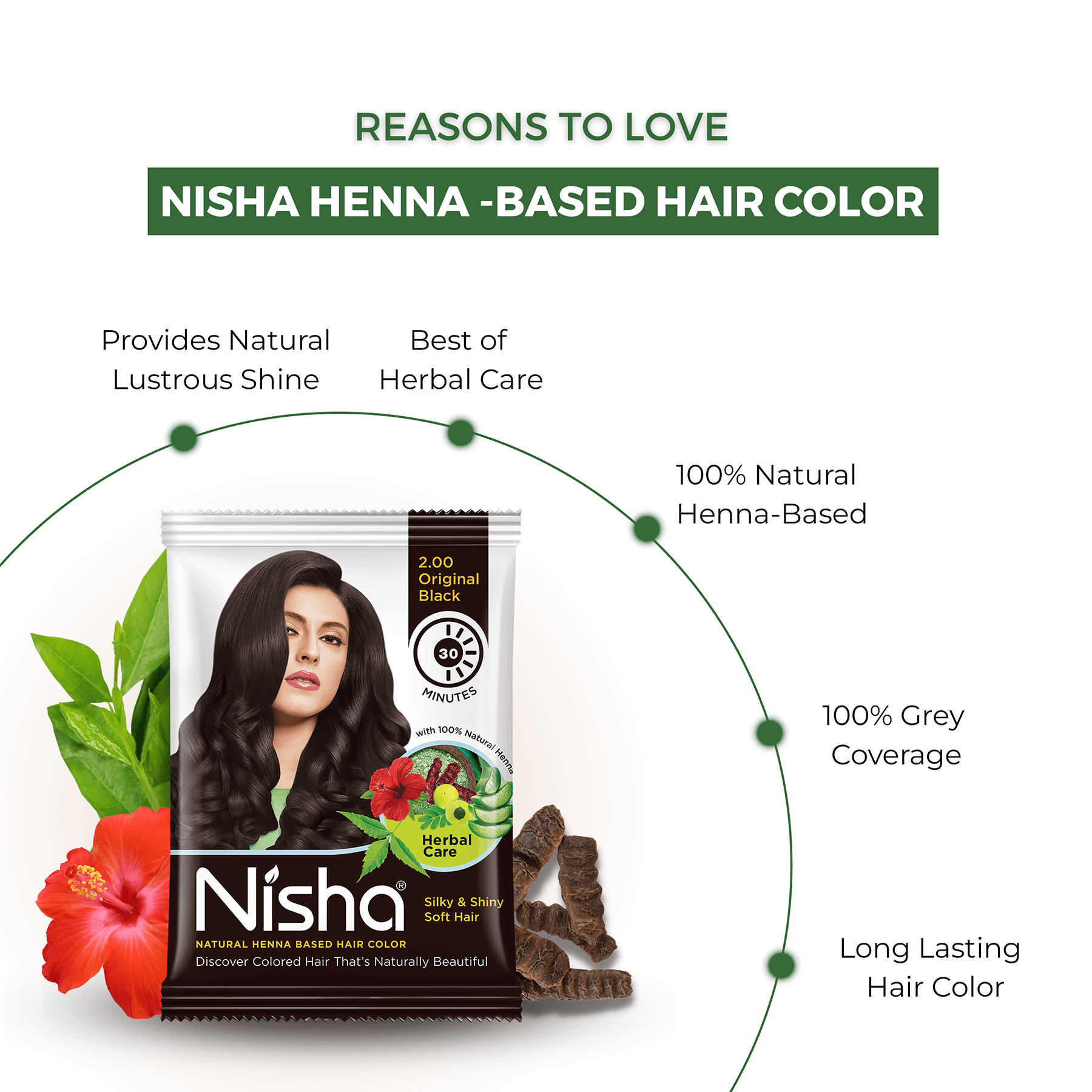 nisha-natural-henna-based-hair-color-original-black