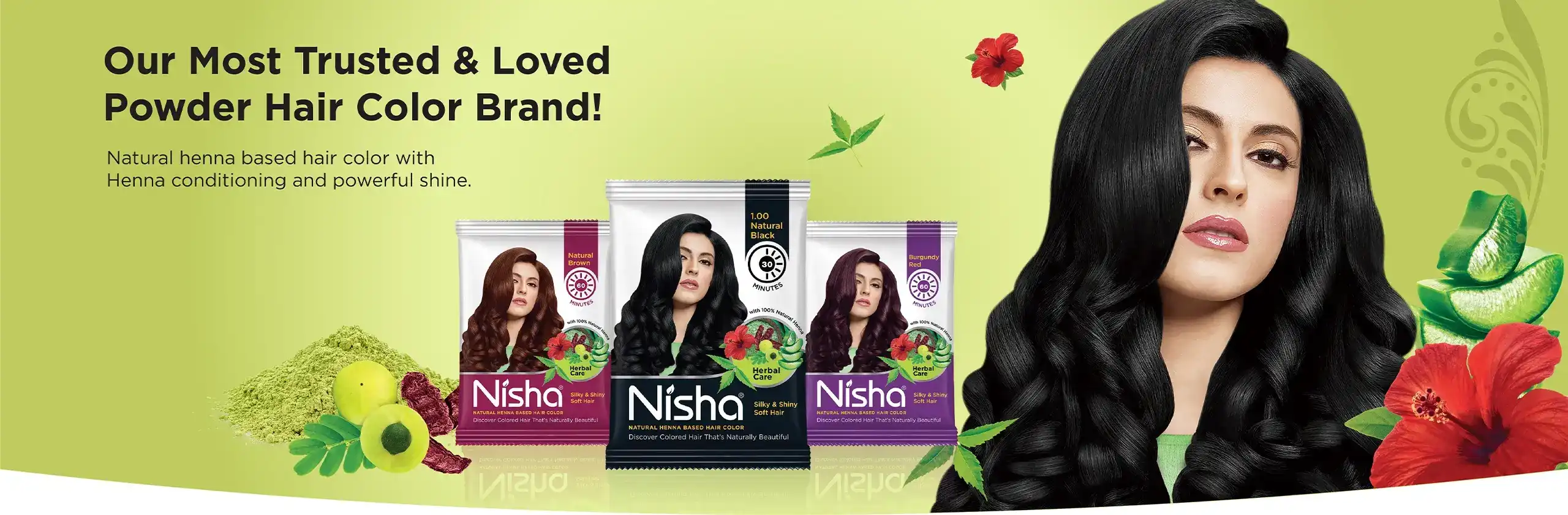 Nisha Natural Henna Based Hair Color
