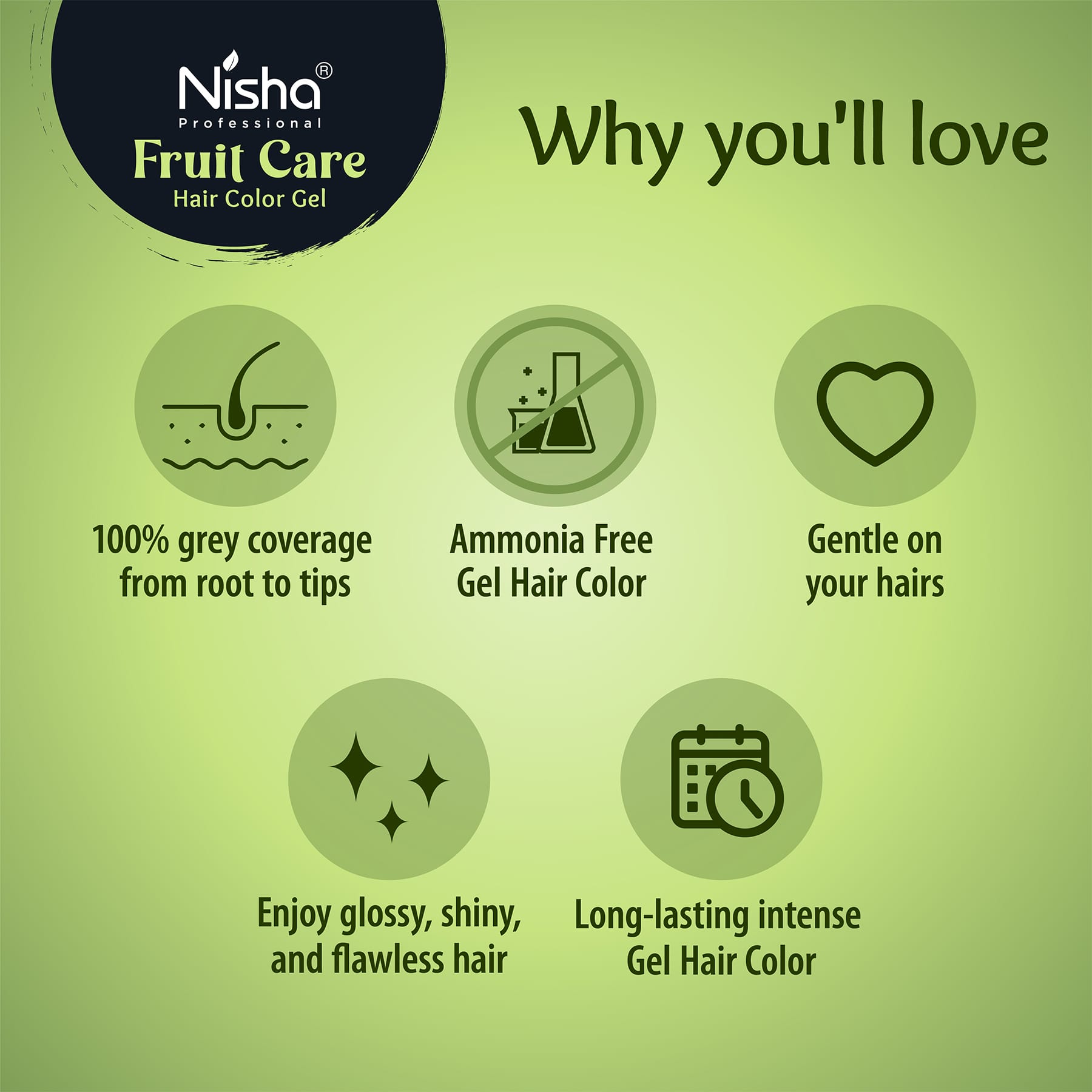 Nisha Professional Fruit Care Hair Color Gel Natural Black 100ml