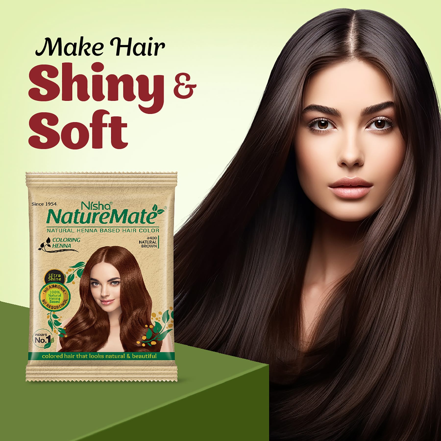 Nisha Naturemate Coloring Henna Natural Brown