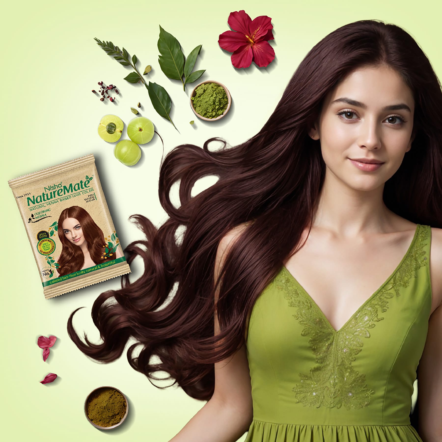 Nisha Naturemate Coloring Henna Natural Brown