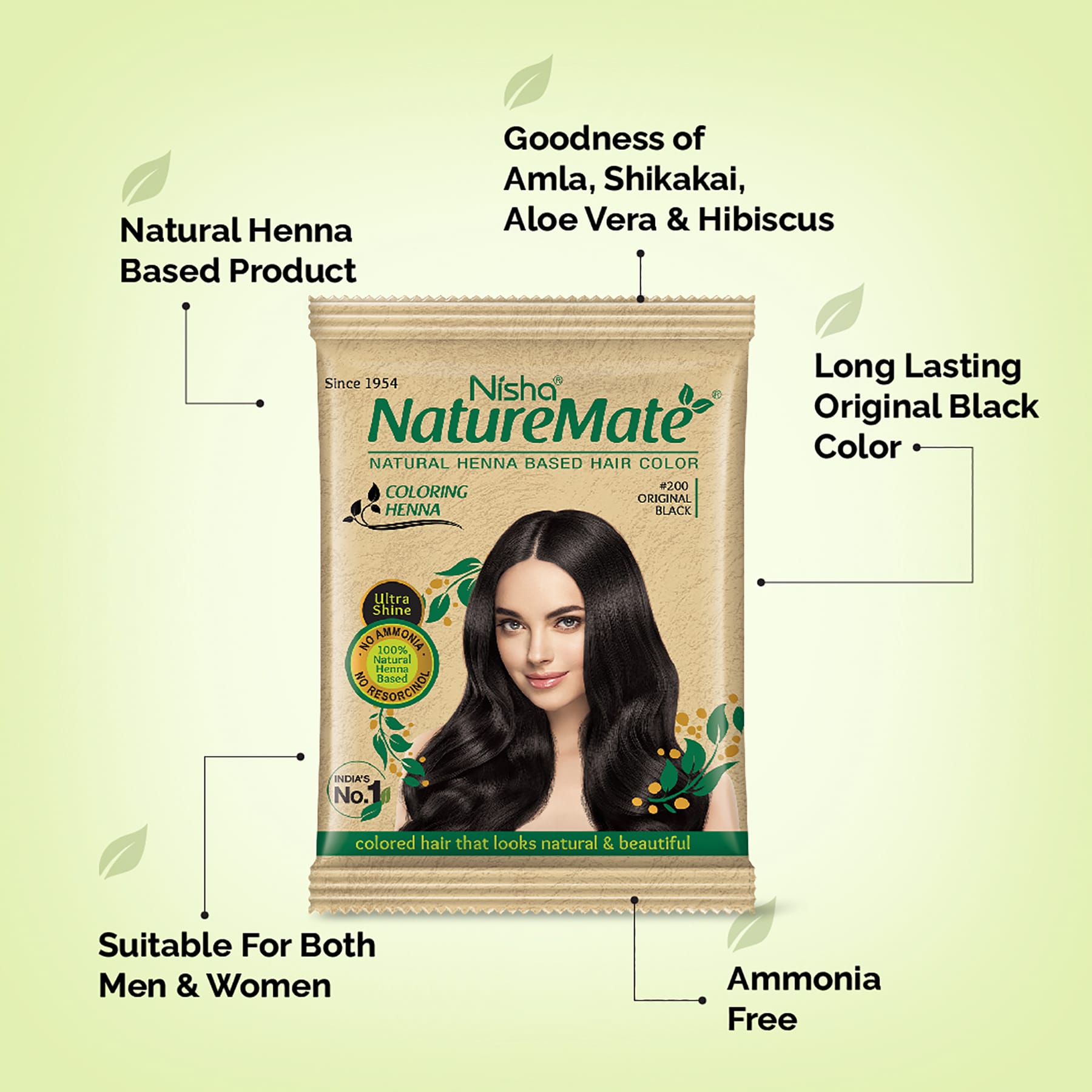 Nisha Naturemate Coloring Henna Original Black