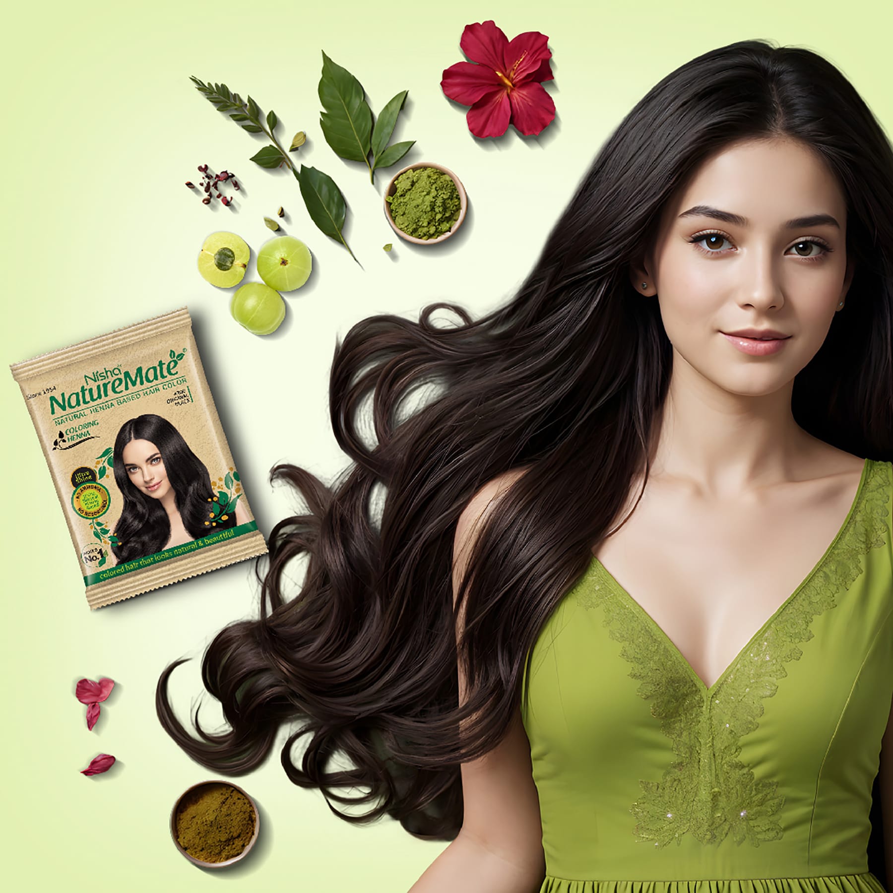 Nisha Naturemate Coloring Henna Original Black